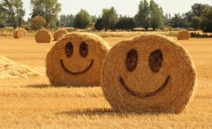 smiley